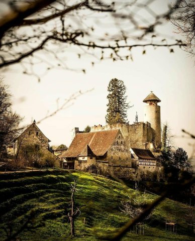 Birseck Castle, Switzerland