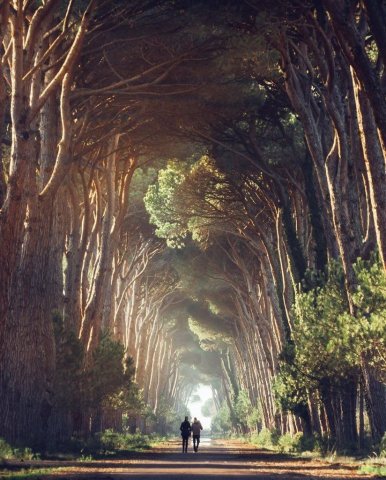 Tuscany, Italy.