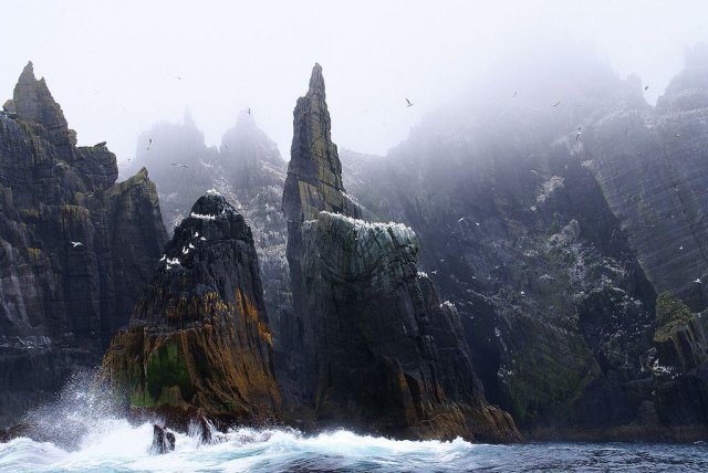 Little Skellig, Ireland.
