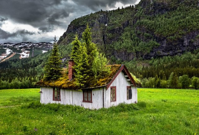 Nature takes back an abandoned cottage. Norway.