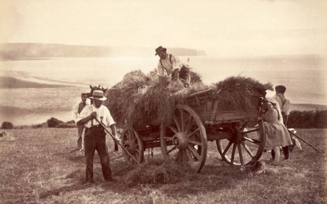 ?? Farmhands pitching hay into a cart at a farm near Whitby, UK, 1880