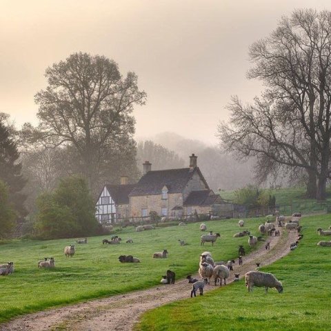 Cottage at Aston Subedge, Gloucestershire ??
Photo by Mary Windemuller