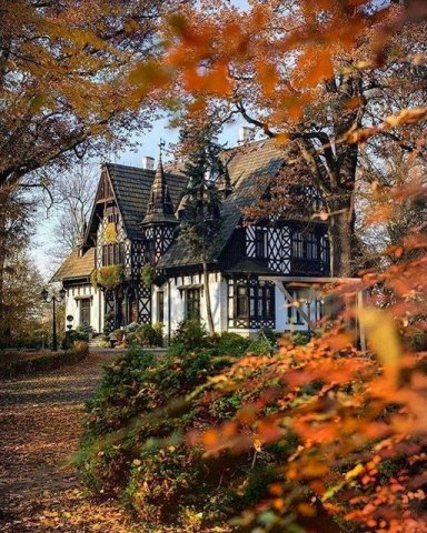 Silesian, Poland.