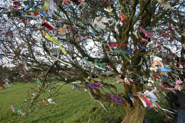 Wishing Tree at the Hill of Tara, Ireland