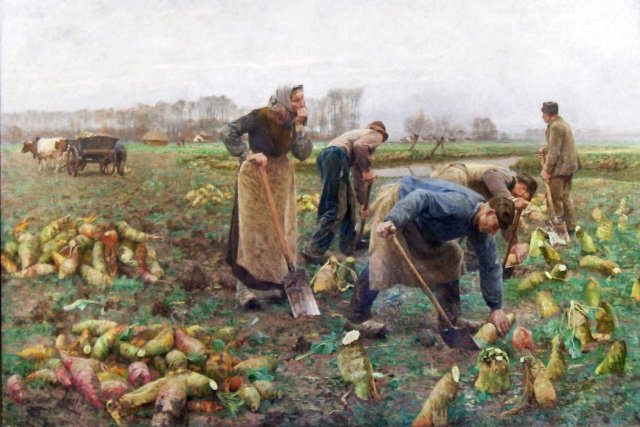 The Beet Harvest (1890). Emile Claus (Belgian, 1849-1924).