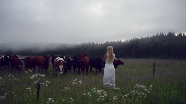 Kulning - Ancient Swedish Herd Call.
https://youtu.be/KvtT3UyhibQ