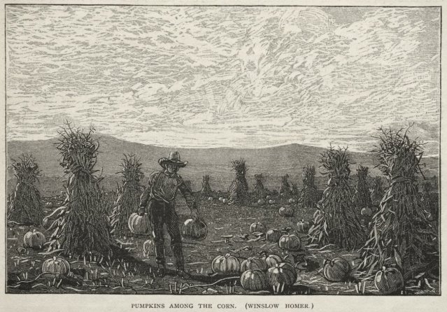 Pumpkins Among the Corn, 1878 (Wood Engraving). Winslow Homer (American, 1836-1910).