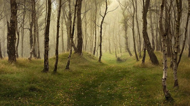 Bolehill, Derbyshire, England.